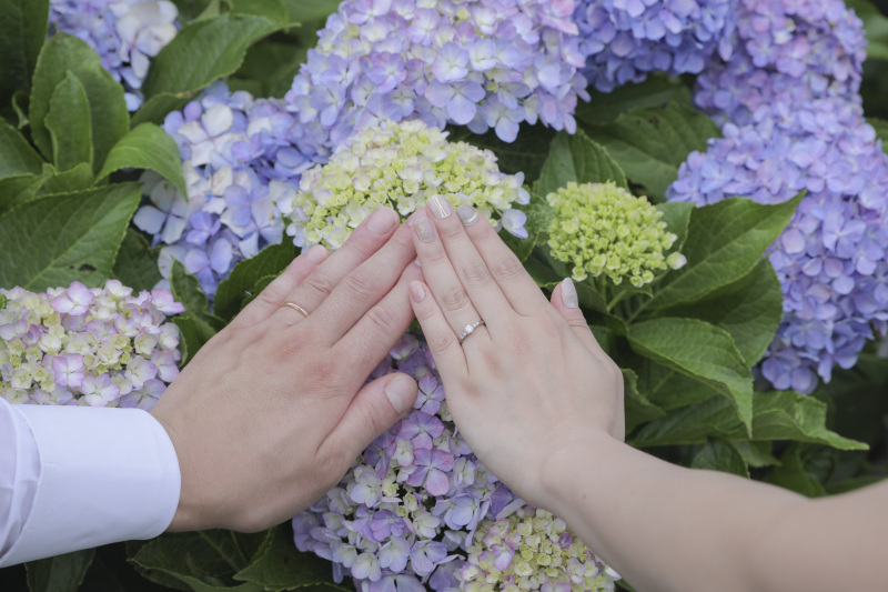 紫陽花と指輪。