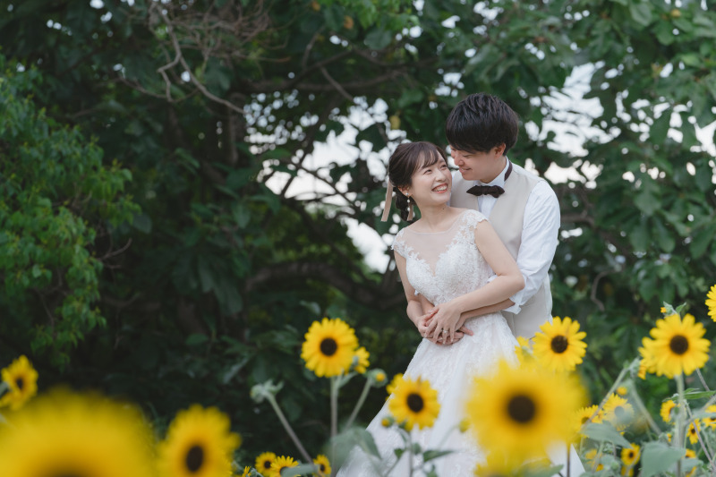 今年のひまわり咲いてます!