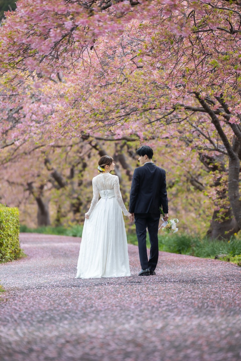 桜のバージンロード