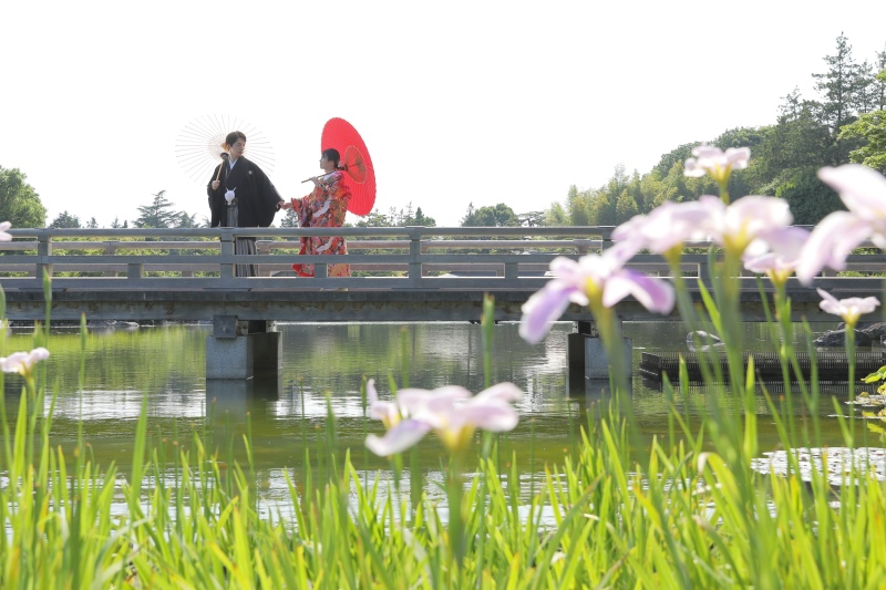 橋と和傘と花