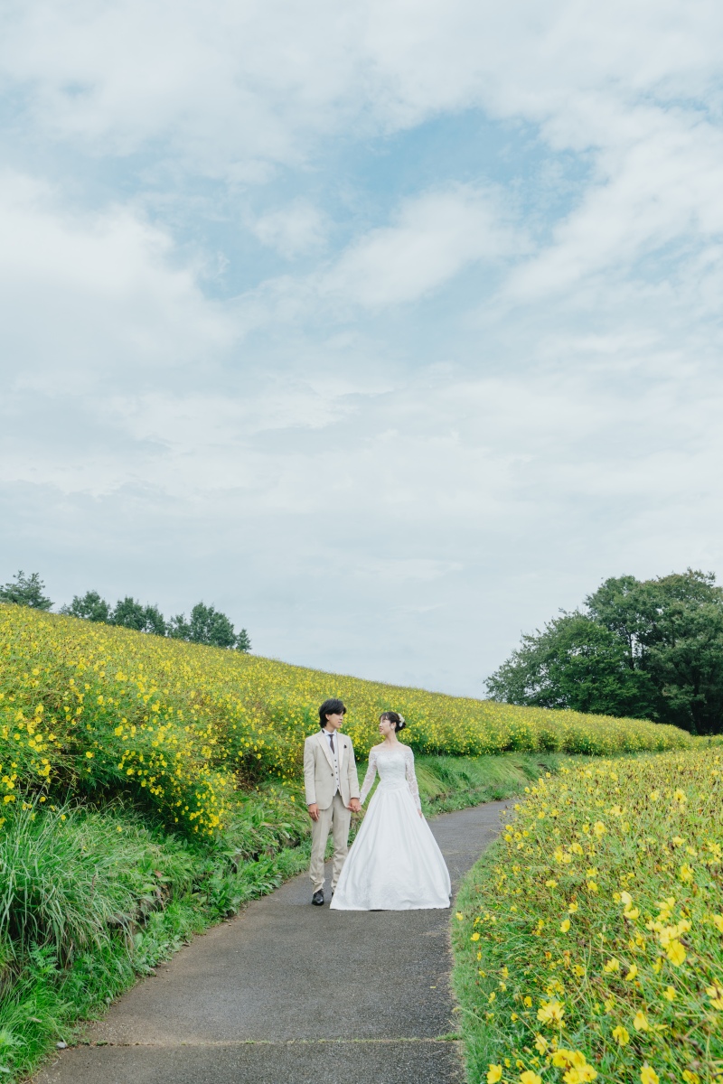 穏やかな秋の空