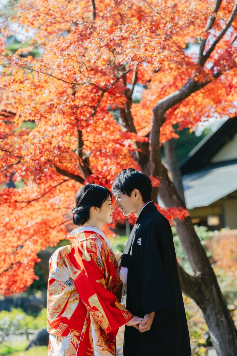 しっとりとした雰囲気も