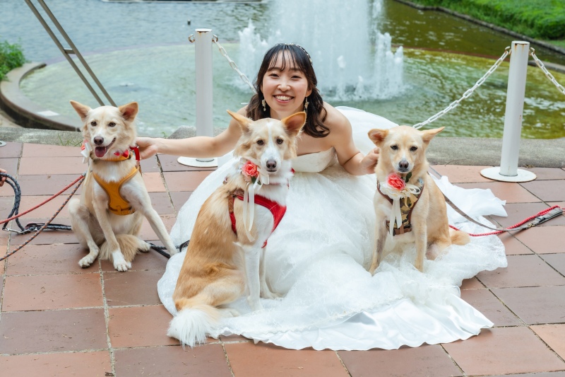 ご実家のわんちゃんたちと♪