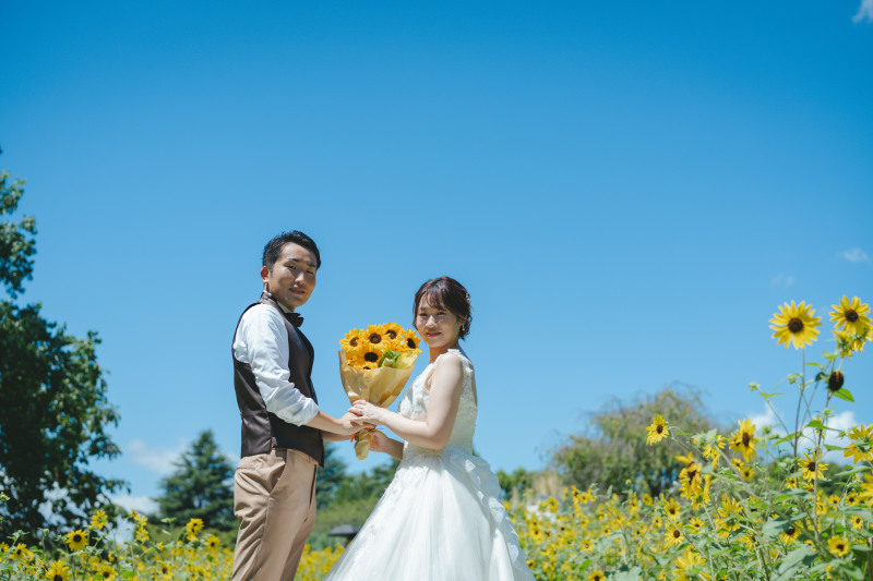 青空とひまわり