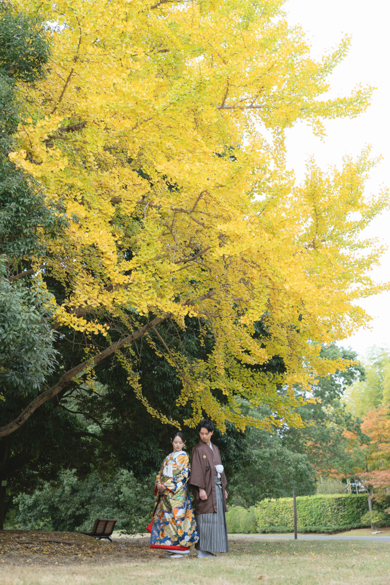 大きな銀杏の木の前で