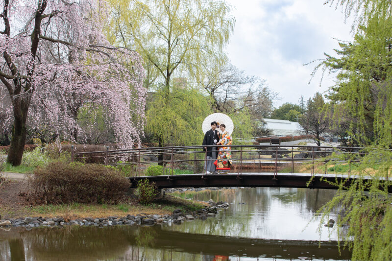 橋とお空と桜と