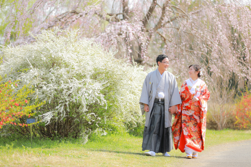 枝垂れ桜とユキヤナギ