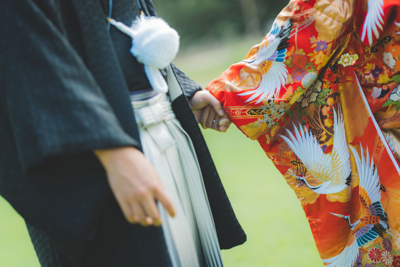 日本庭園とコスモス5