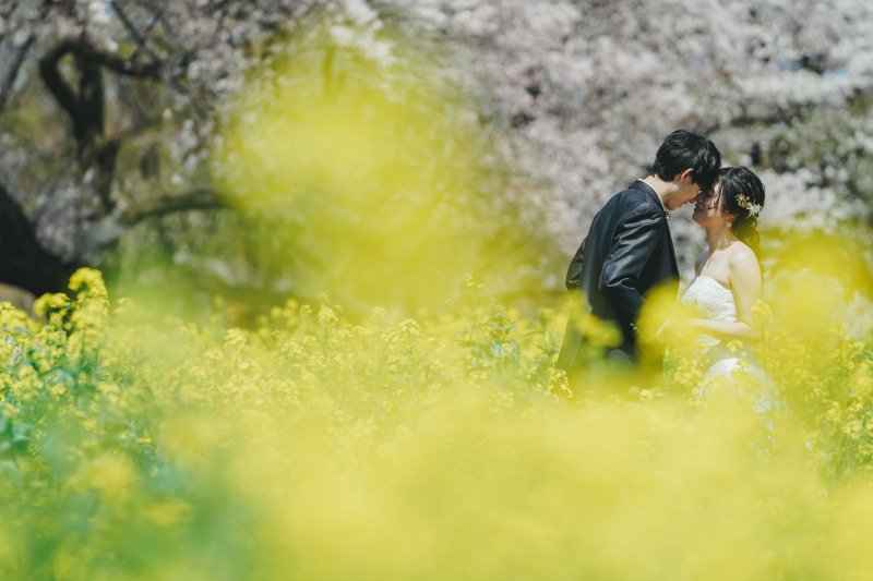 菜の花ふわふわ