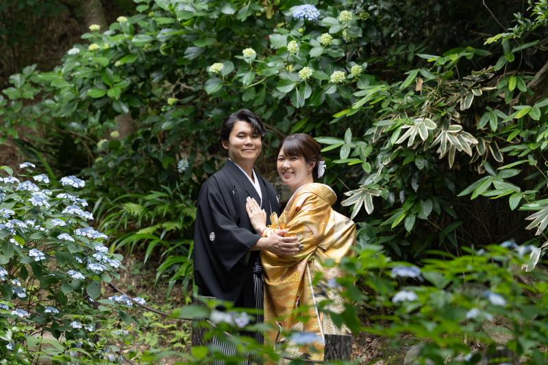 緑と紫陽花で