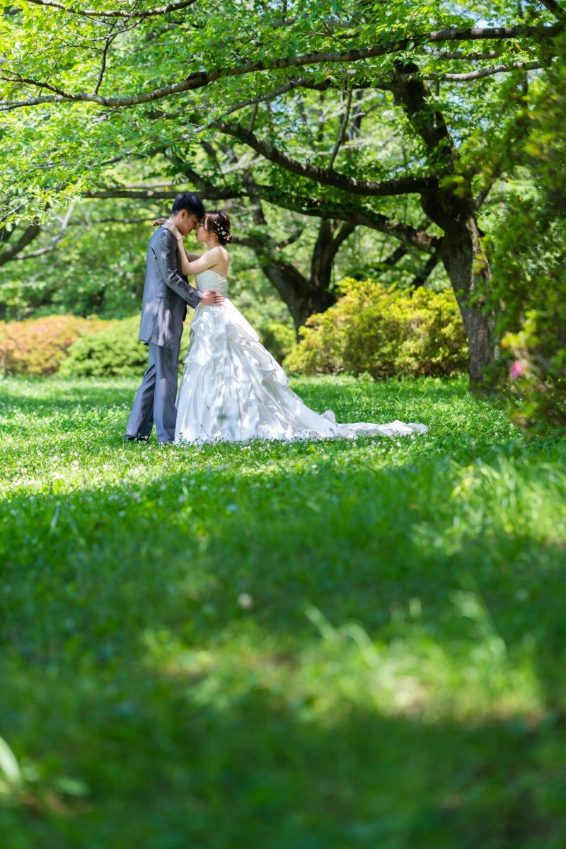 飾りたい美しい1枚