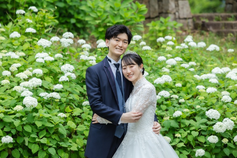 白の紫陽花