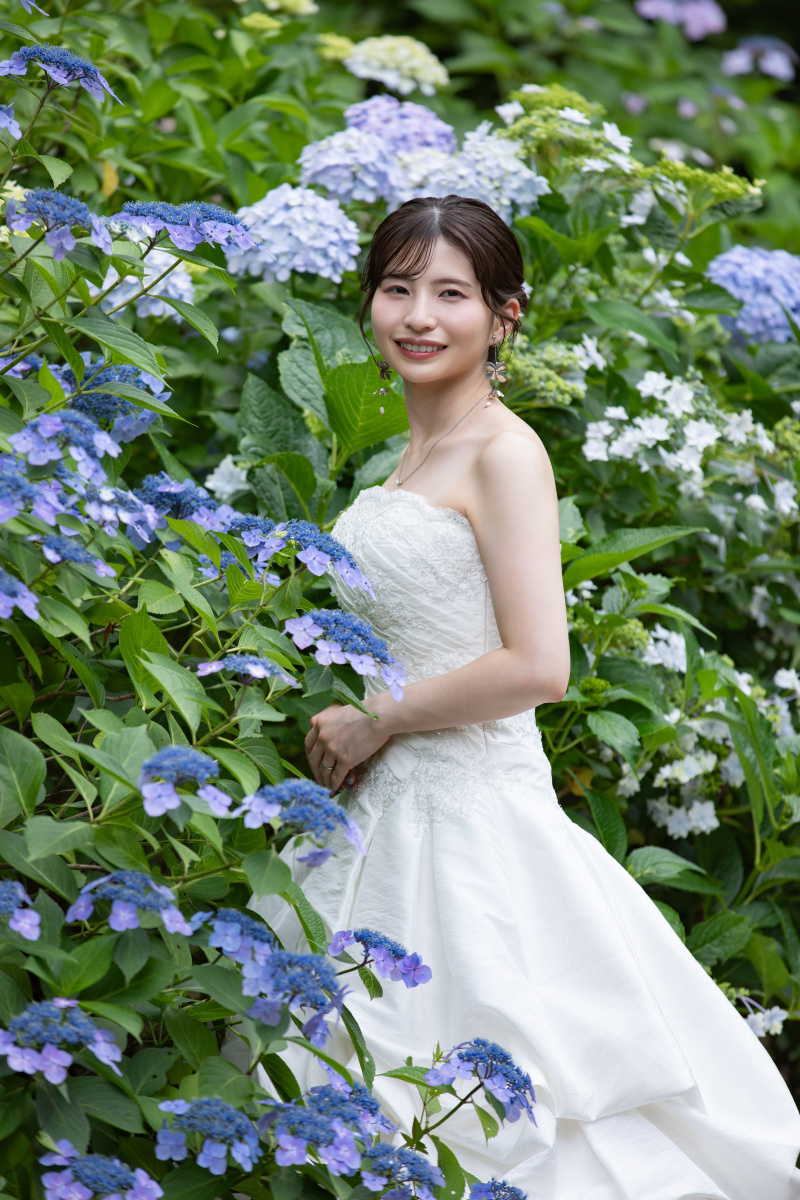 紫陽花に囲まれて