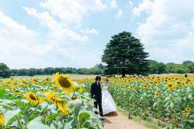 お散歩風に