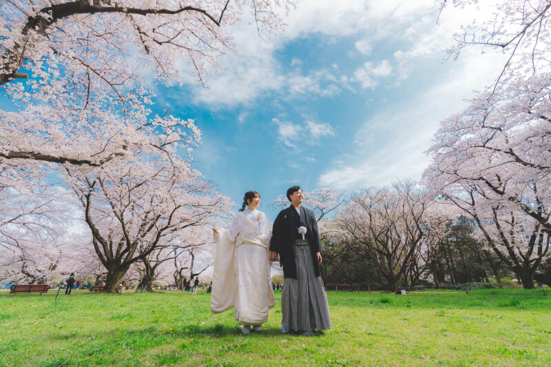 昭和記念公園桜5