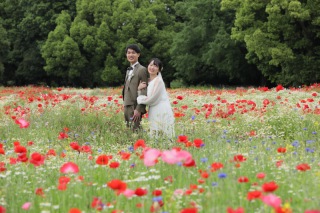 春の昭和記念和洋ロケーション