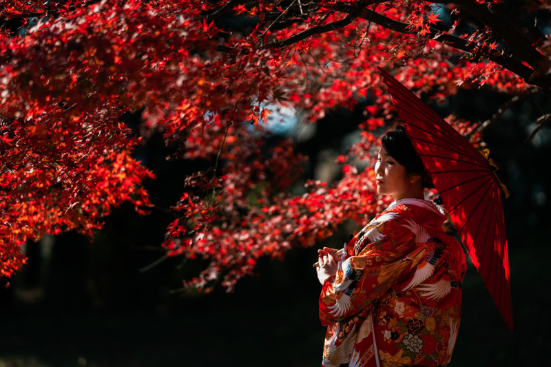 ご新婦のソロショット