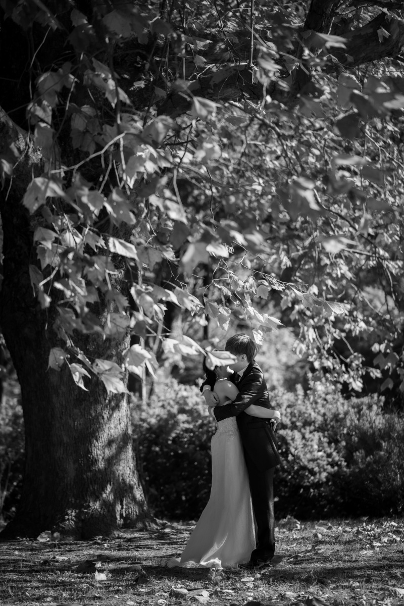 風のいたずらで