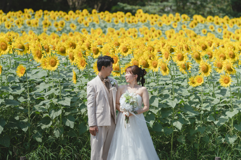 家族でひまわりと！