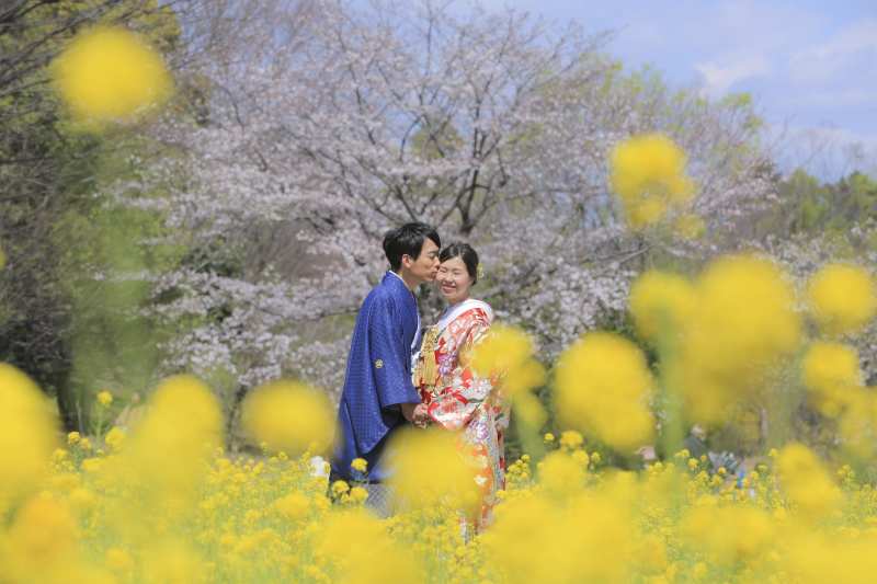 念願の桜撮影!!