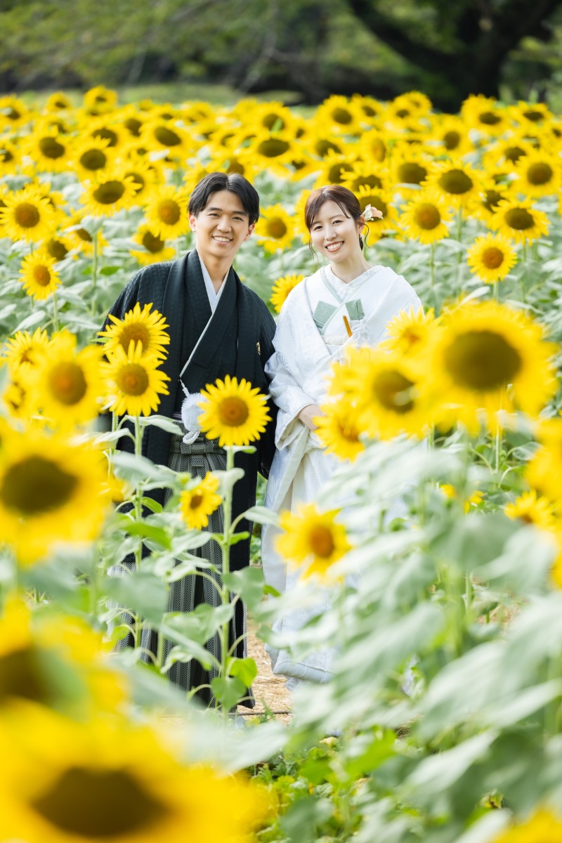 白無垢とひまわり
