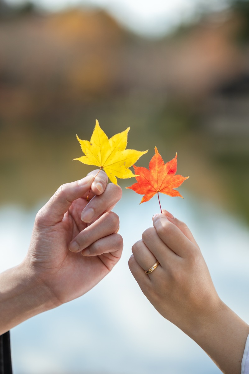 お手元ショット