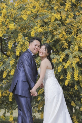 ミモザが綺麗な季節