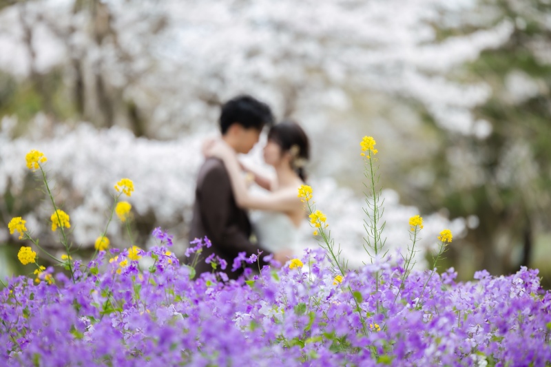 前ボケで魅せる幻想的な世界