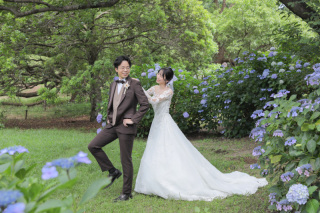 昭和記念公園で紫陽花撮影！