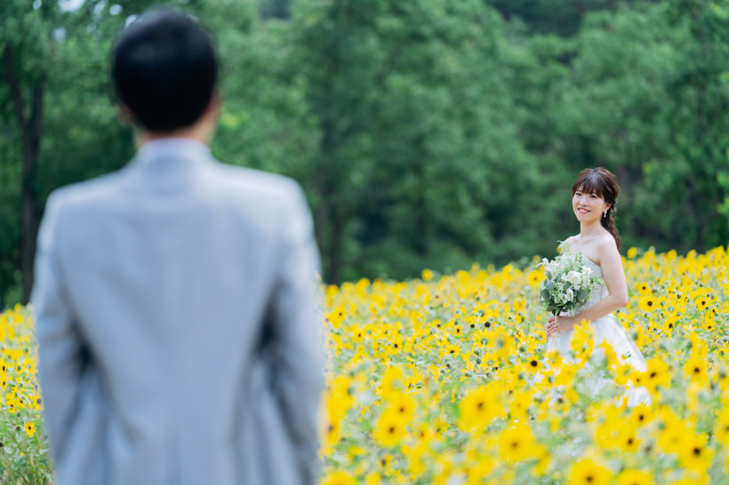 ひまわり畑で待ち合わせ