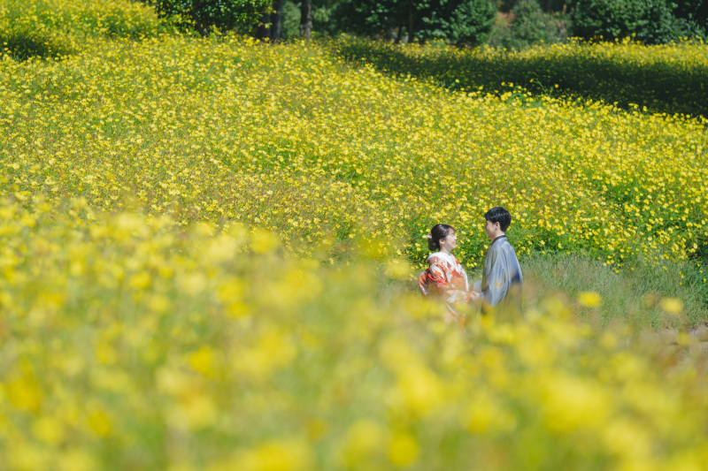 お花に埋もれて