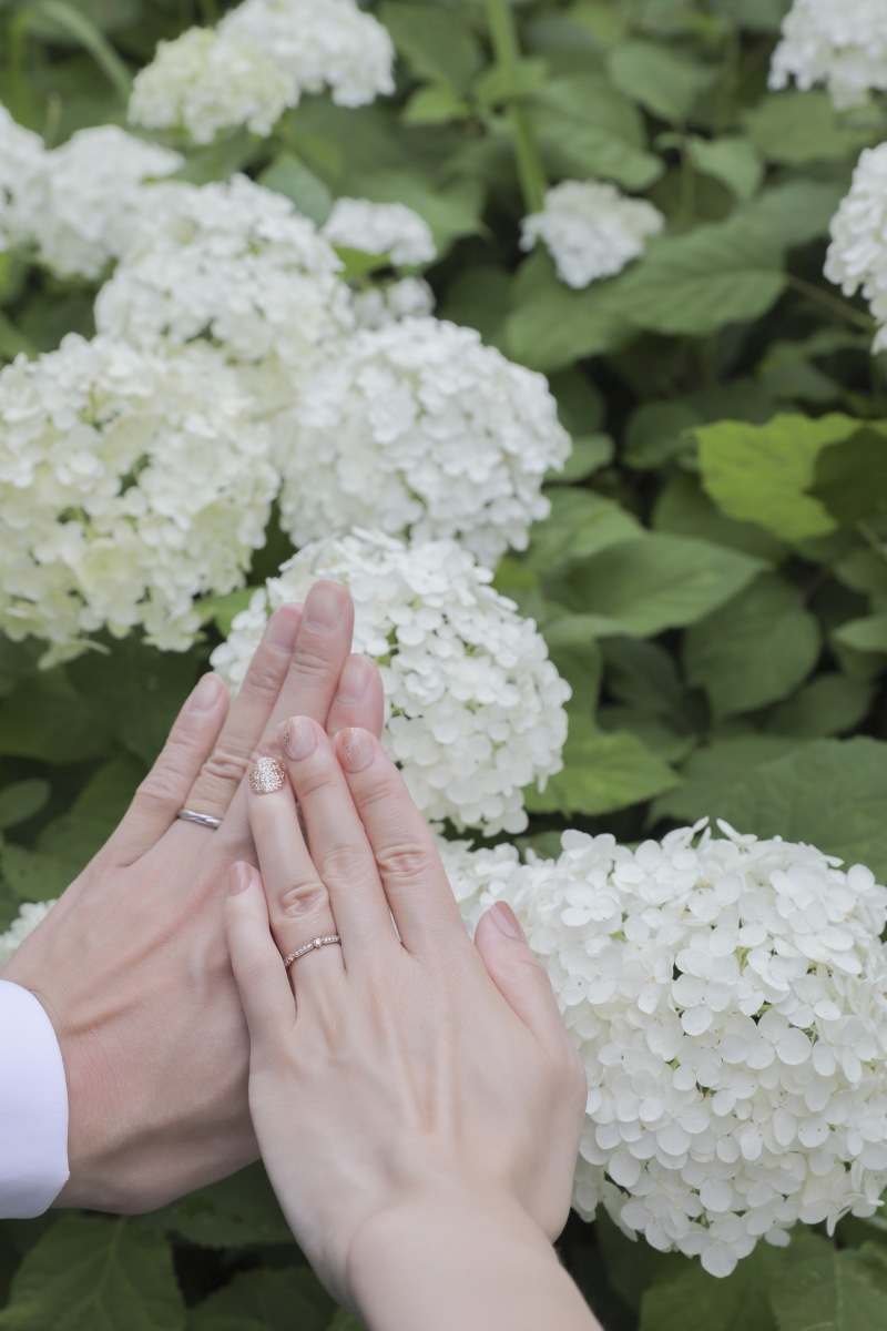 紫陽花と指輪