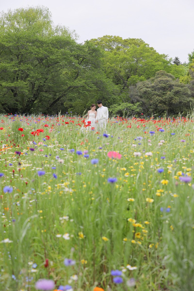 私の推しスポット!