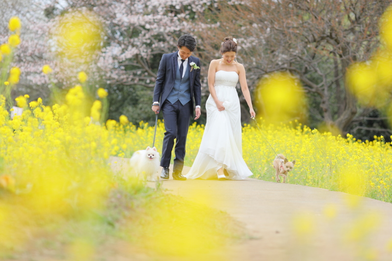 今度はみんなで!