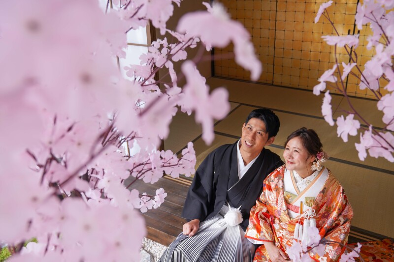 満開の桜の中で