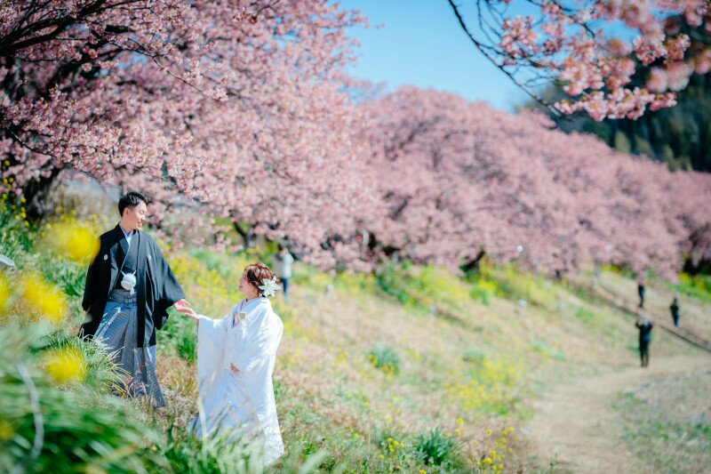 今日と言うは日は、今日しかない