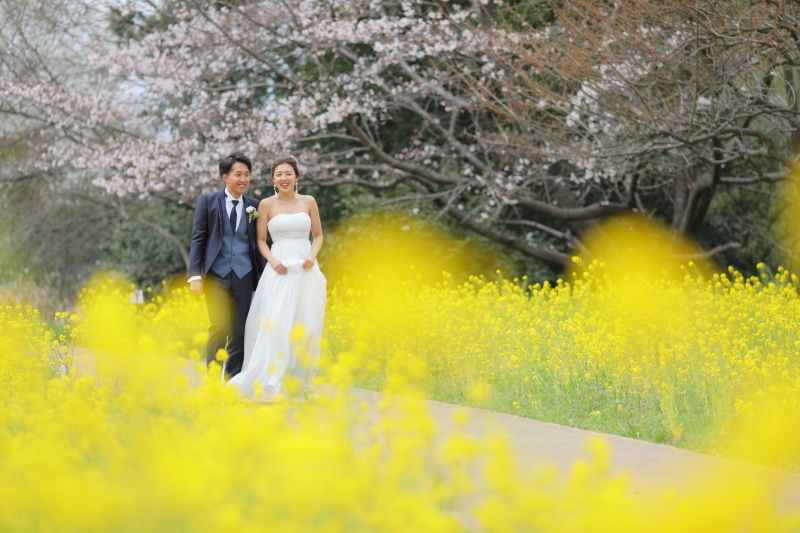菜の花に囲まれて