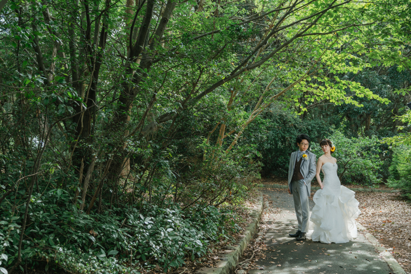 木漏れ日が綺麗に