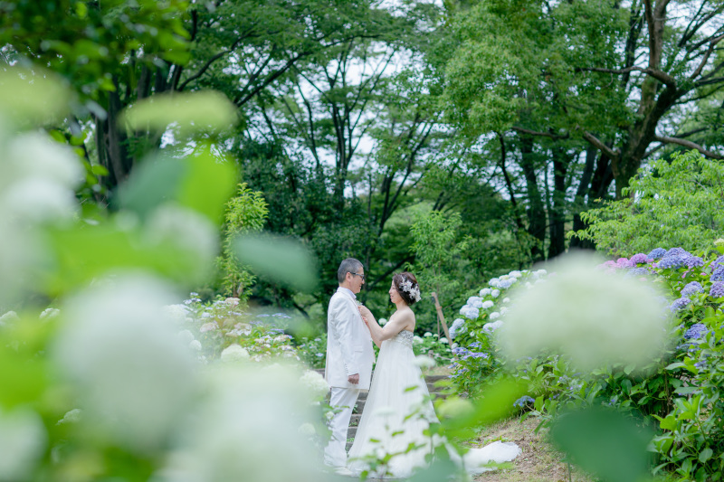 紫陽花に囲まれて