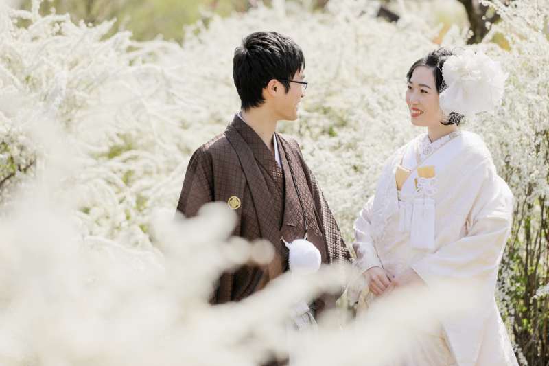 ユキヤナギに包まれて