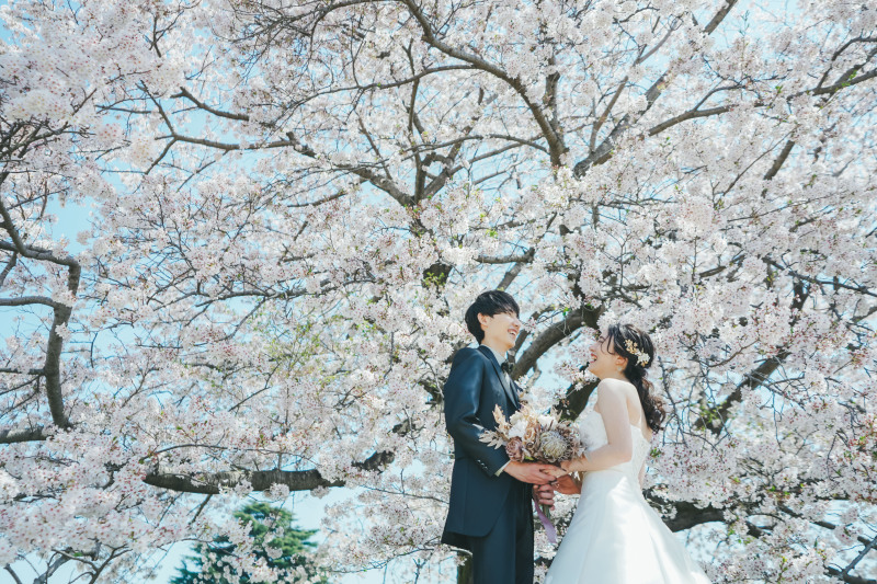 桜と昭和記念公園