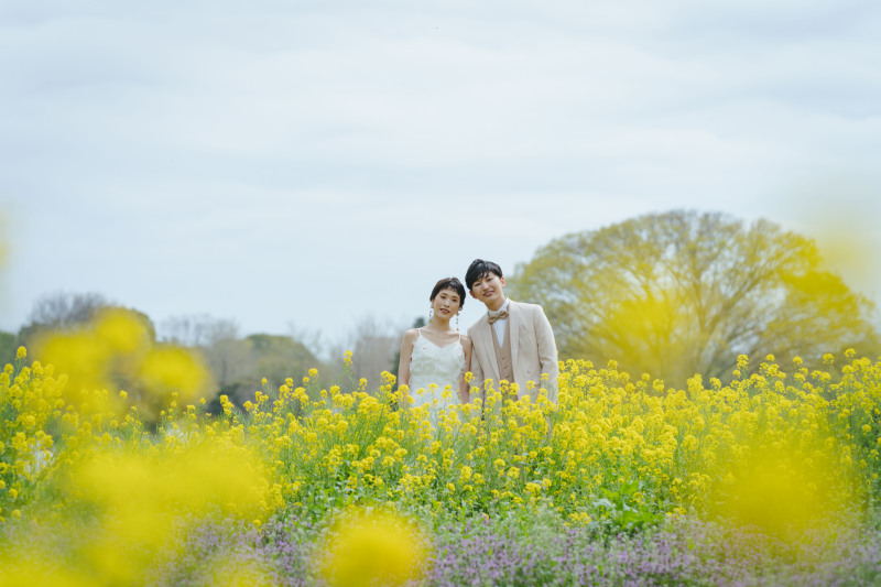 菜の花と一緒に