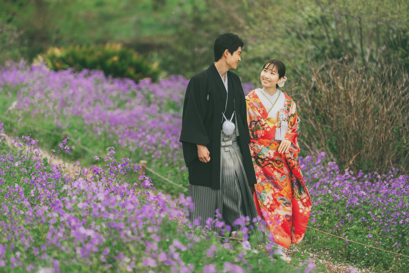 ムラサキハナナ