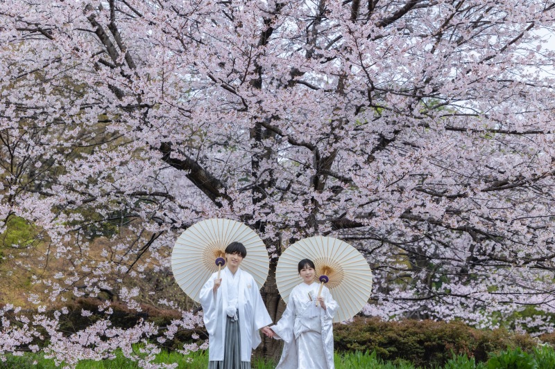 二つの傘が並ぶ贅沢な広角ショット