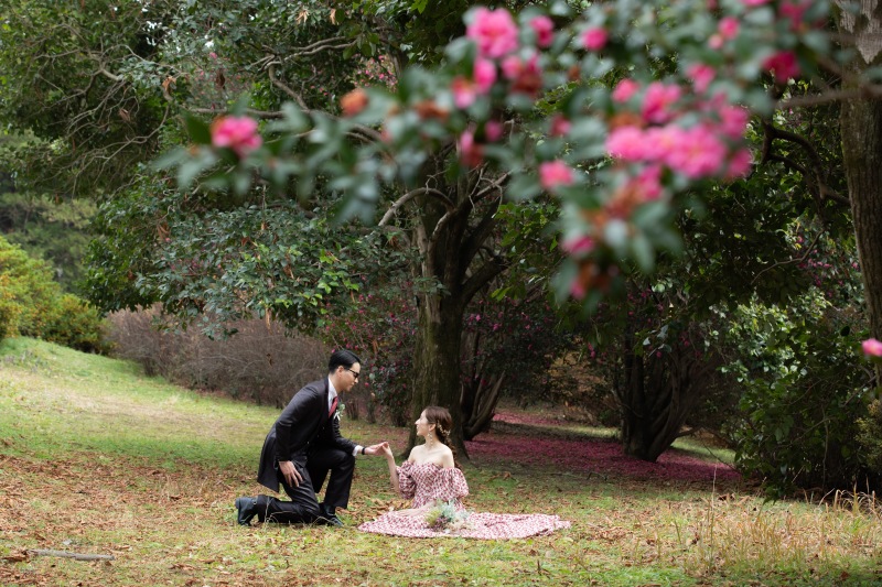 エスコートポーズ