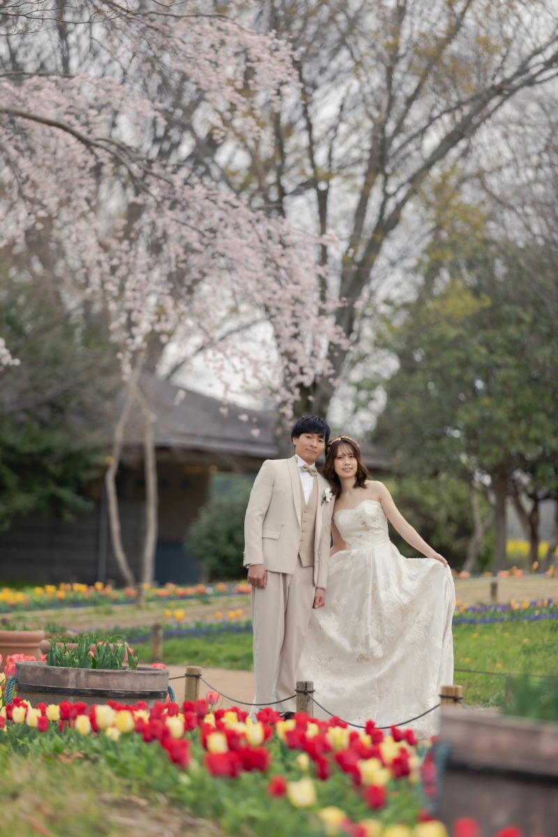 チューリップと桜