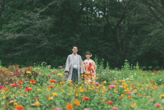 秋のお花に和装
