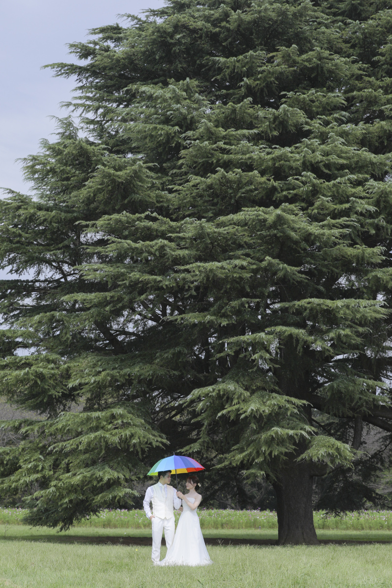 レインボーの傘で。