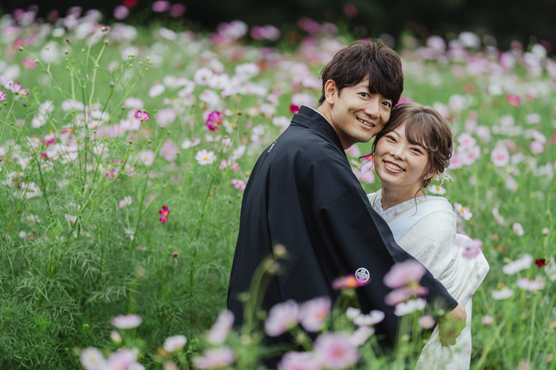 コスモスと一緒に