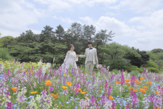 新緑シーズン到来！